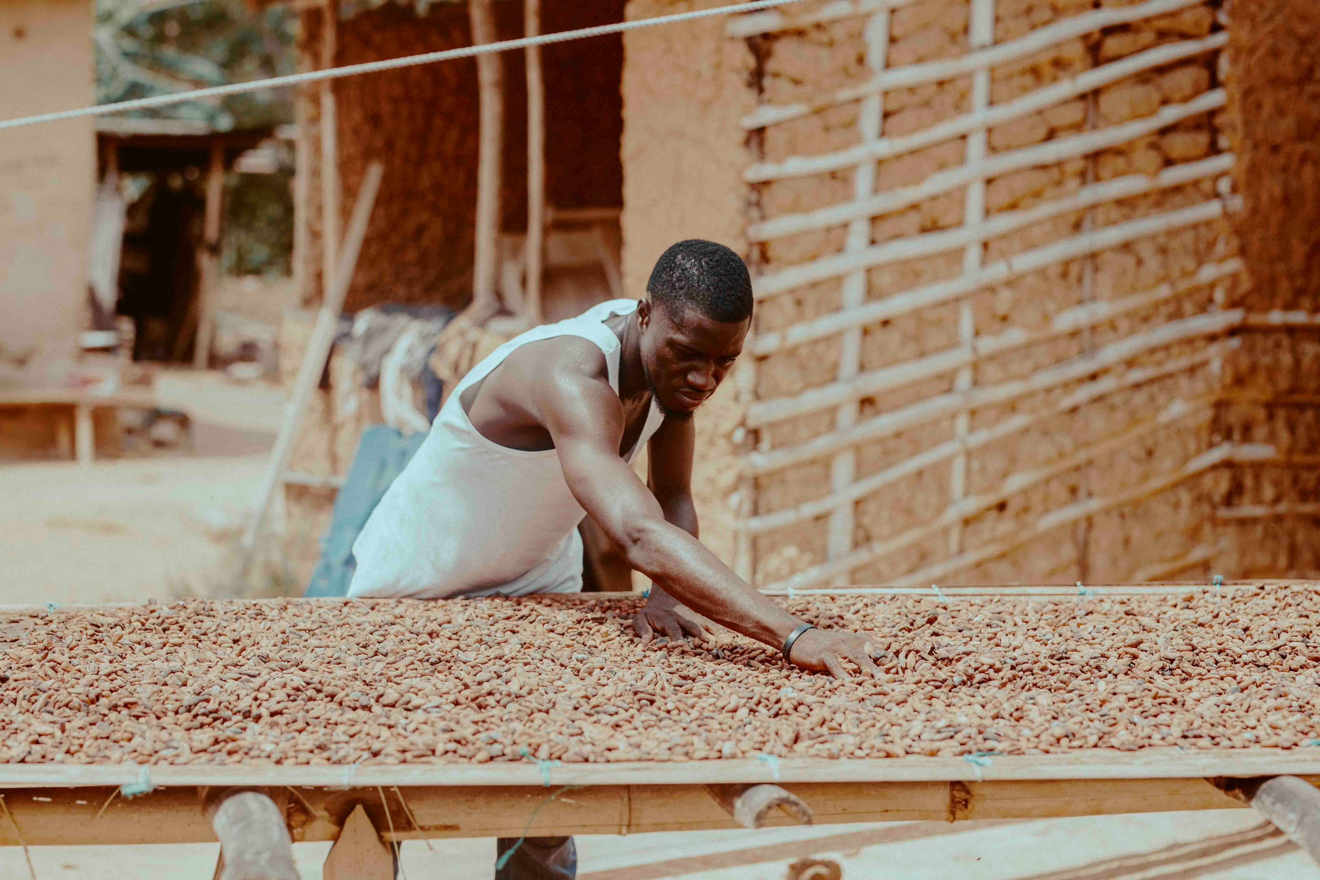 Export ready packaging