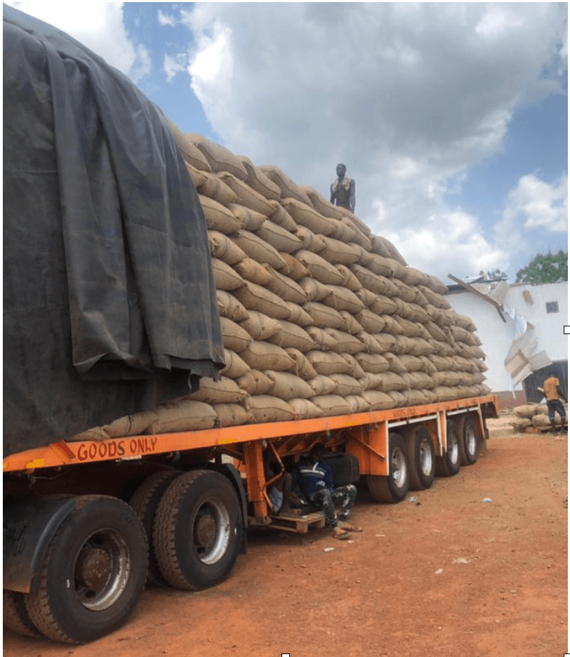 Favour 01 Limited - Fleet of trucks